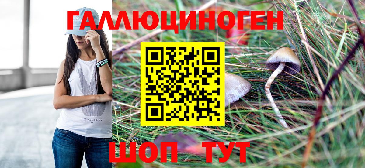Псилоцибиновые грибы MAGIC MUSHROOMS  Вход с VPN  Псилоцибиновые грибы Psilocybe  Всеволожск 