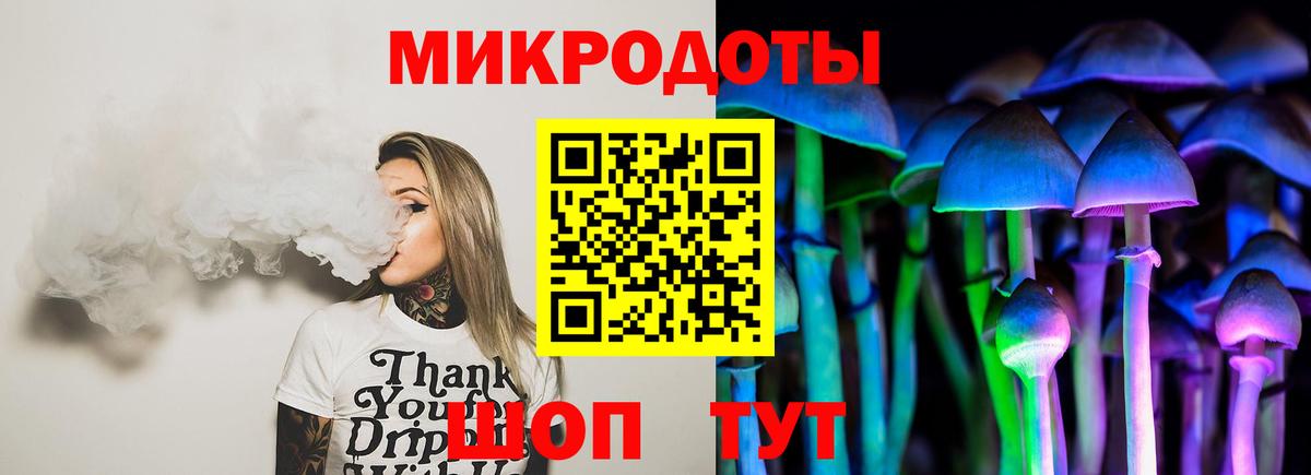 Псилоцибиновые грибы Cubensis Всеволожск